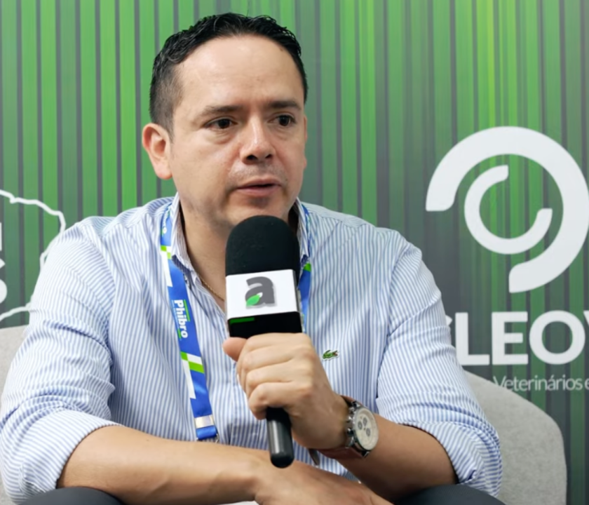 Granulometria influencia consumo, digestibilidade e desempenho, impactando custo e eficiência na produção avícola