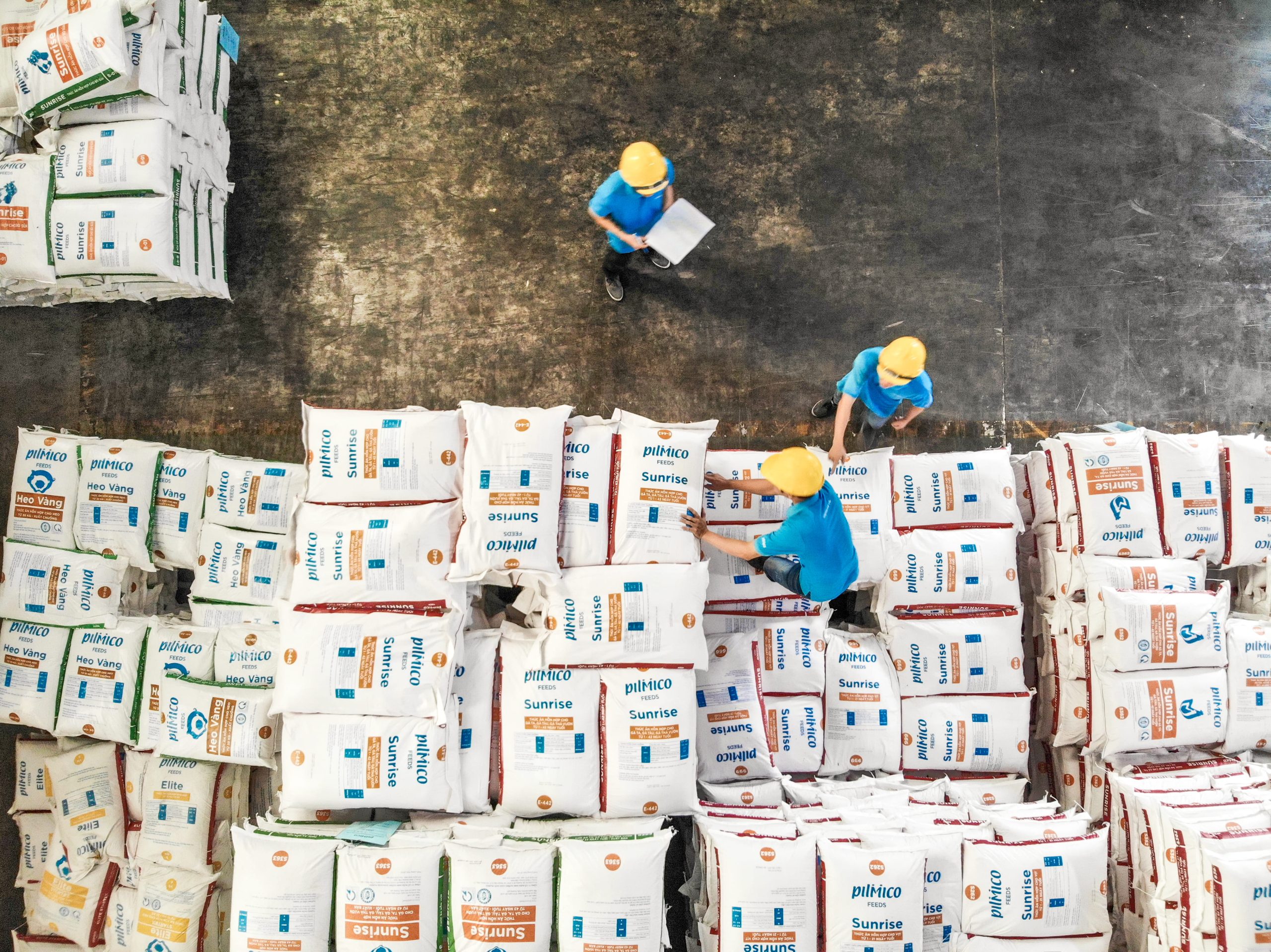 Aboitiz Foods reports solid 2025 results