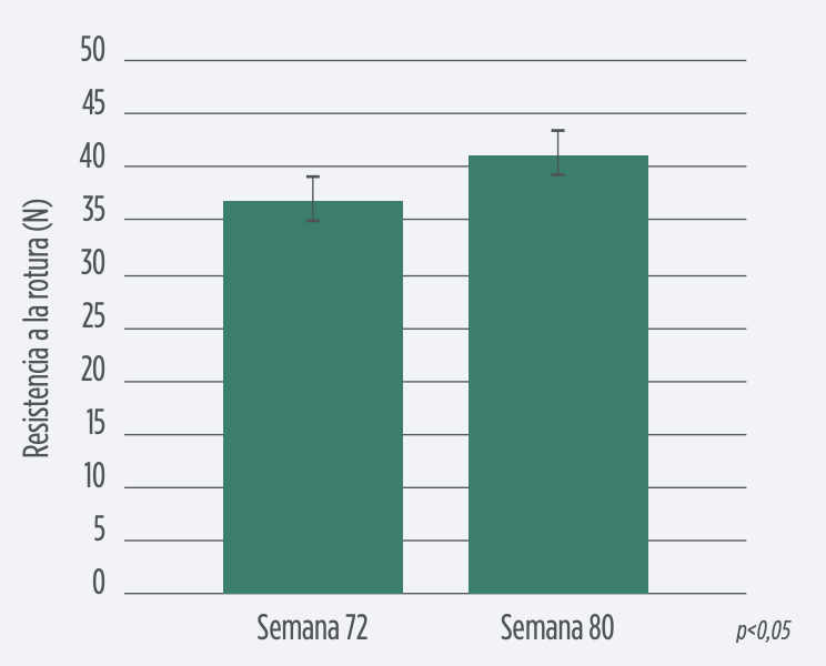 Grafico