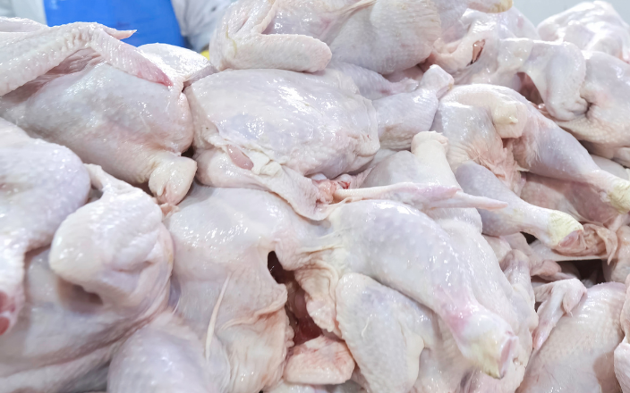 Carcass Quality Indicators in Broilers