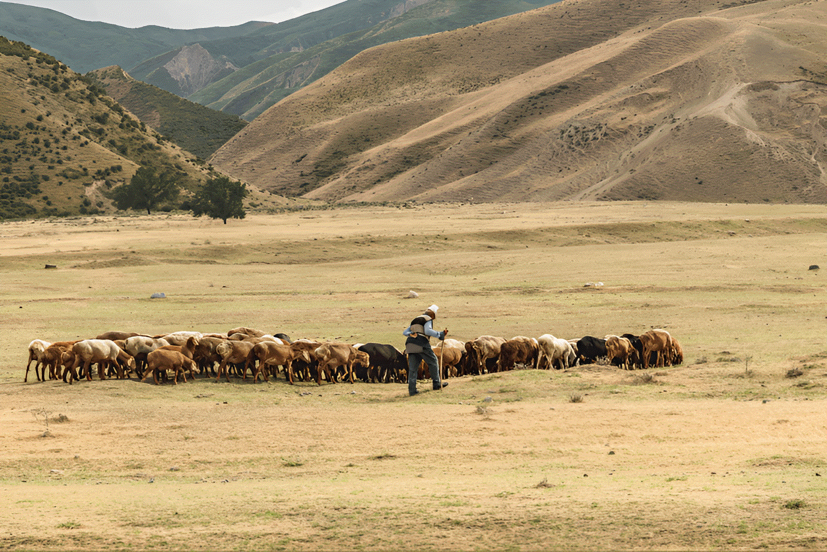 Protecting animal health, protecting food security