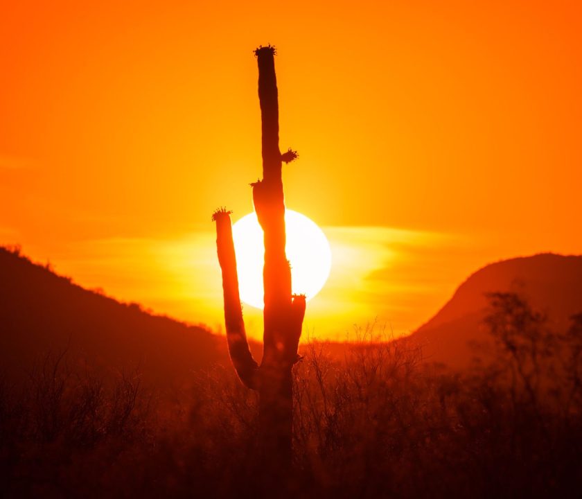sonora mexico