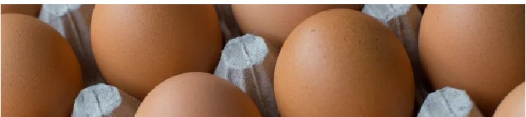 Recubrimientos sostenibles para reducir las pérdidas de huevos