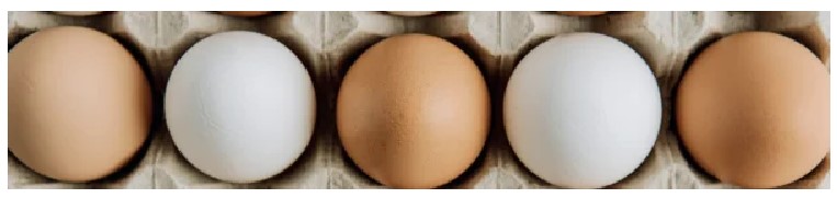 Recubrimientos sostenibles para reducir las pérdidas de huevos