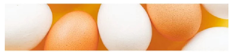 Recubrimientos sostenibles para reducir las pérdidas de huevos
