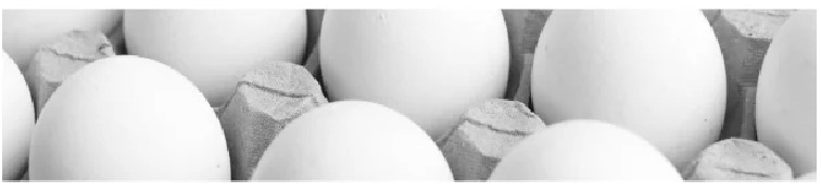 Recubrimientos sostenibles para reducir las pérdidas de huevos