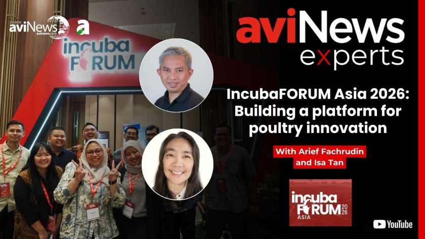 incubaFORUM Asia 2026: Building a platform for poultry innovation