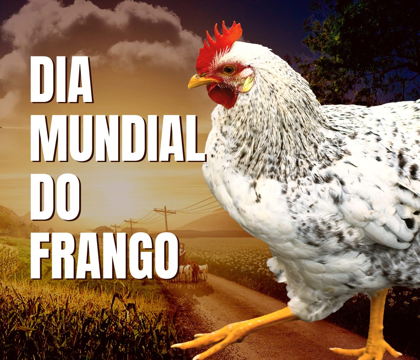 Ovos