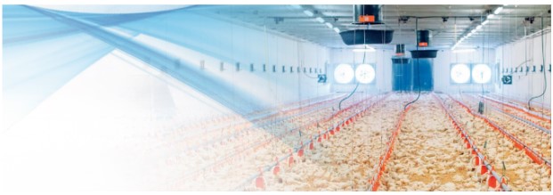 PLUMAS, VENTILADORES Y TEMPERATURA AMBIENTAL: