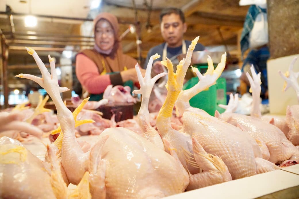 Bapanas pastikan pemerintah intervensi harga daging dan telur ayam demi...