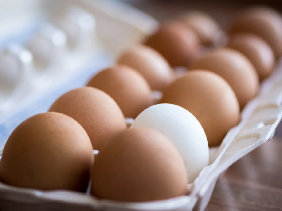 Ascott Malaysia embraces cage-free eggs