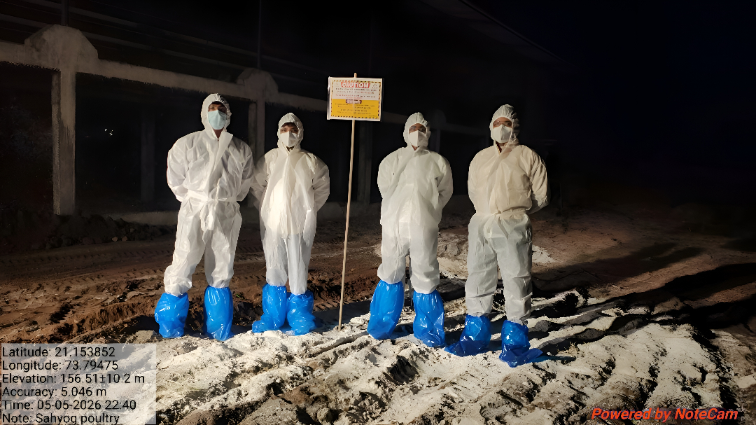 H5N1 avian influenza cull in India’s Navapur hits 200,000 birds