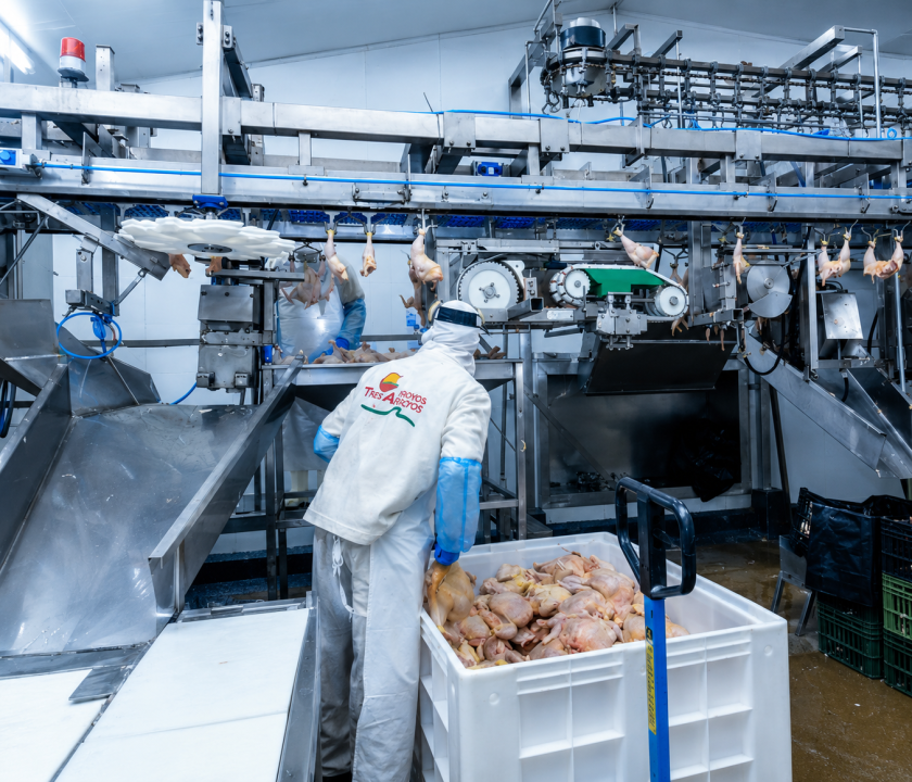 Uruguay retoma exportaciones de carne aviar y fortalece su proyección internacional