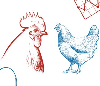 Imagen Revista Persistência das fêmeas no pós-pico | Parte 2