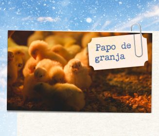 Imagen Revista Os segredos do manejo de inverno sob o olhar de quem está no campo