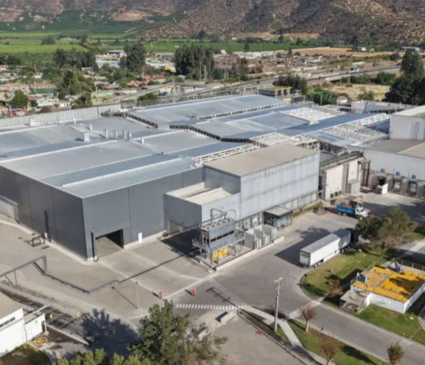 Chile amplía su capacidad exportadora con nueva planta de procesamiento de carne de pollo habilitada para EE.UU.