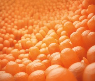 Imagen Revista Longitud de las vellosidades intestinales del yeyuno e íleon en pollos de engorde