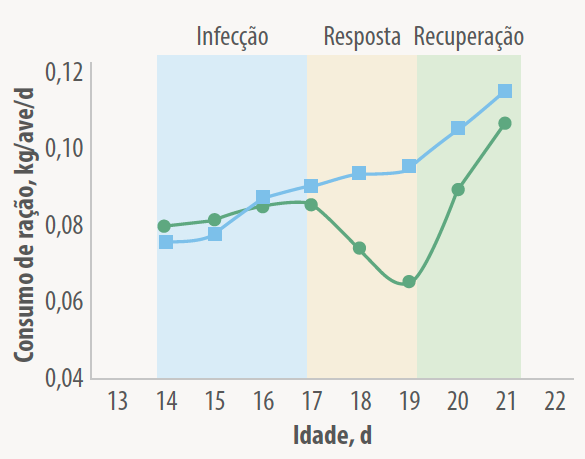 Figura 3. Fases do processo de infecção da EN em frangos de corte,em relação ao consumo de ração, de aves infectadas (em verde) em comparação com aves sadias (em azul). Fonte: Dados experimentais obtidos no Laboratório de Ciências Avícolas (Lavinesp), Unesp FCAV.