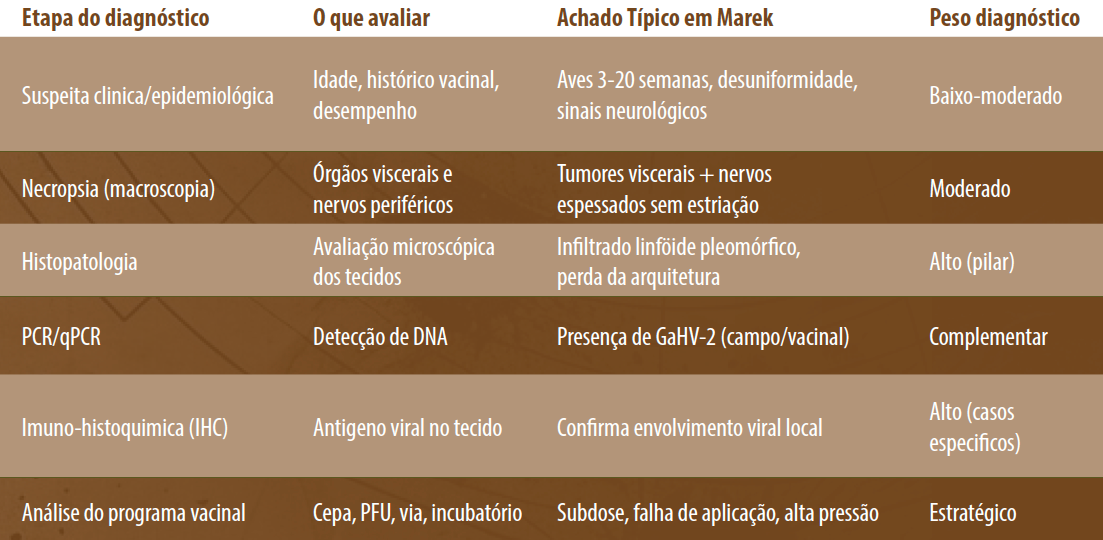 Doença de Marek - Estratégia em Frango de Corte