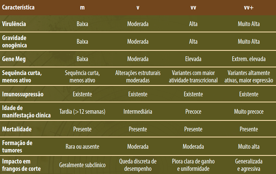 Doença de Marek - Estratégia em Frango de Corte