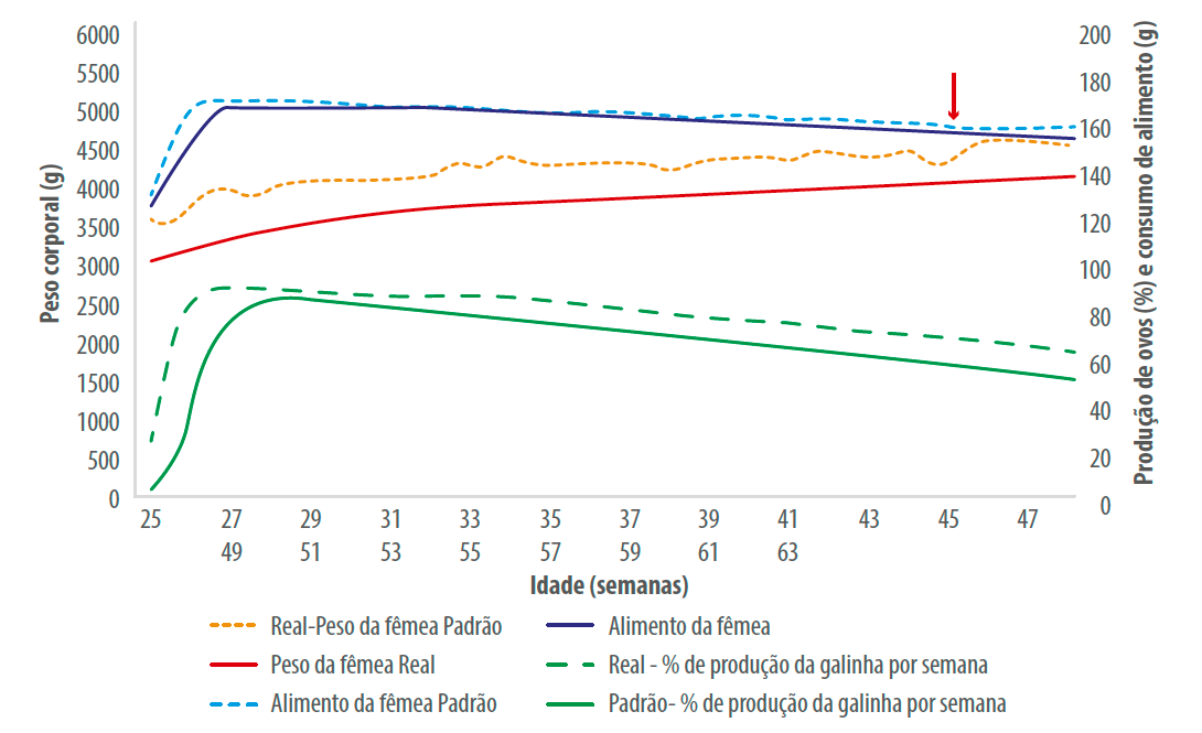 Figura 2: Relações entre controle de peso corporal, quantidade de alimento e produção.