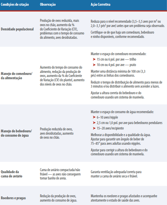 Tabela 3: Condições de criação que afetam a persistência do plantel de matrizes.