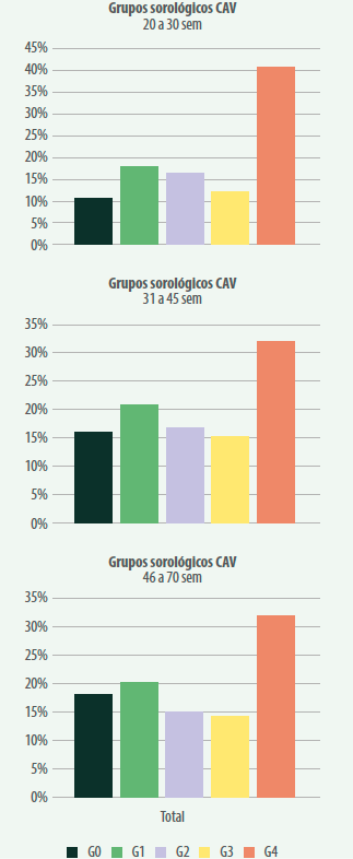 Figura 1. Distribuição percentual de amostras sorológicas depintinhos de acordo com o grupo sorológico (Idexx) e classe de idade das matrizes. A) 20 a 30 semanas, B) 31 a 45 semanas e C) 46 a 70 semanas.