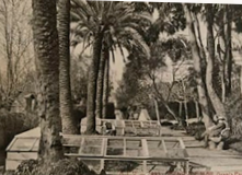 Granja-paraiso