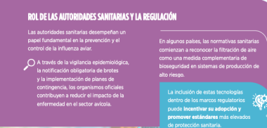 esquema