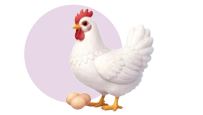 Gallina