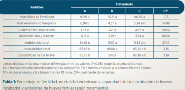 Grafico
