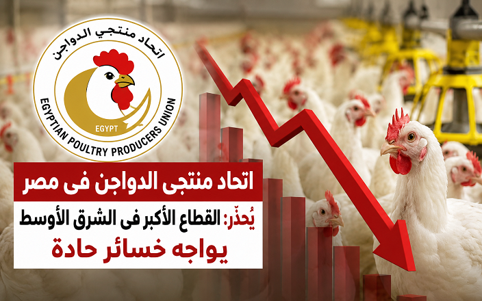 خسائر حادة وتراجع في رأس مال المنتجين