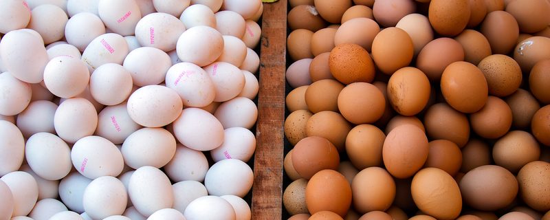 Consumo de huevo en España crece un 15% en tres años