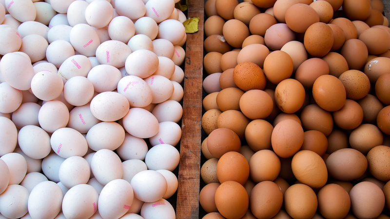 Consumo de huevo en España crece un 15% en los hogares españoles.