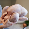 Turkeys