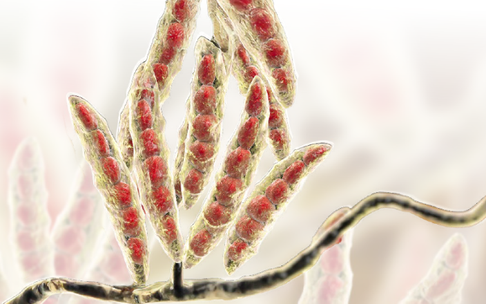 Biomarkers