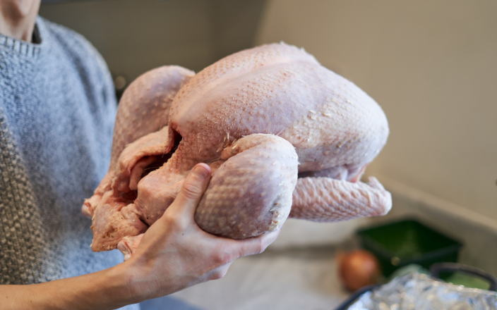 Carcass Quality in Turkeys