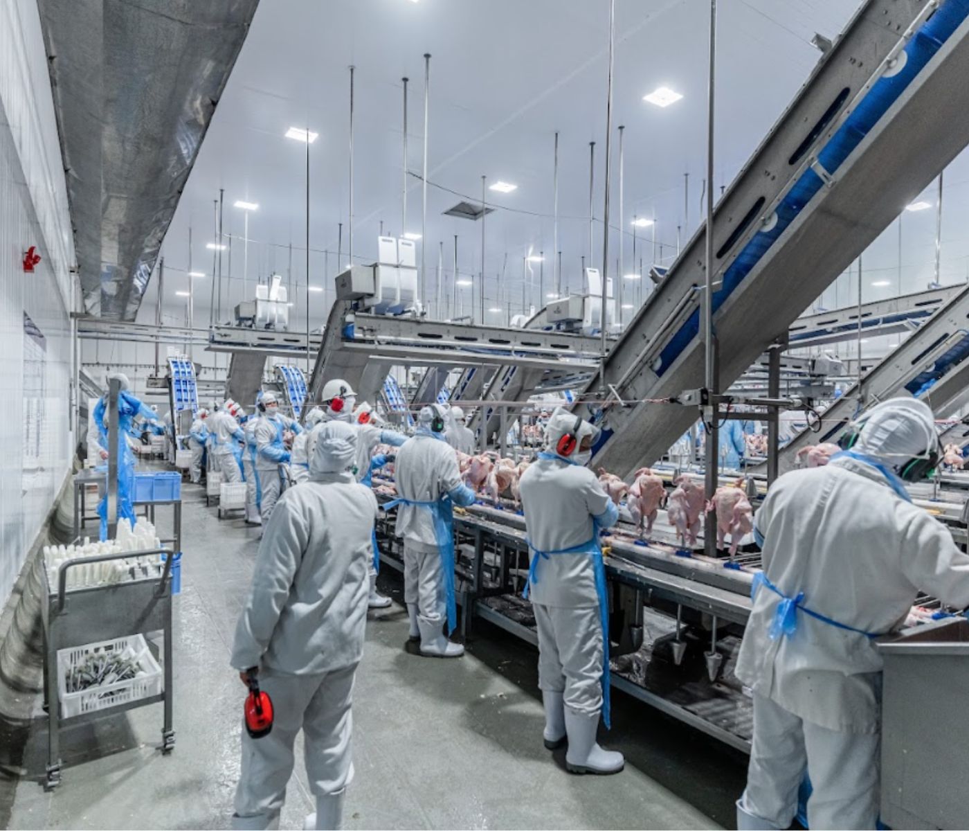 Levo Alimentos investe em modernização de linha industrial e amplia...