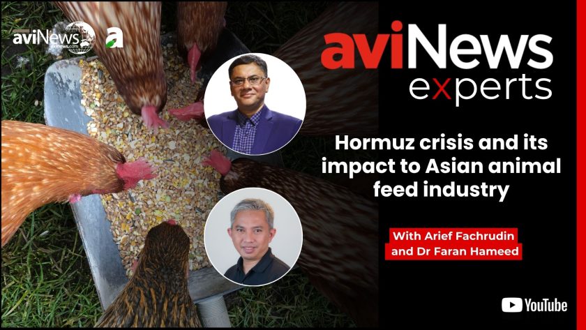 Hormuz crisis and its impact to Asian animal feed industry