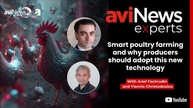 Smart poultry farming and why producers should adopt this new technology