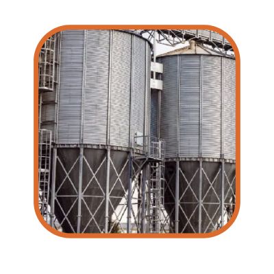 Implementación de la formulación dinámica de alimentos balanceados y la nutrición de precisión en la producción avícola