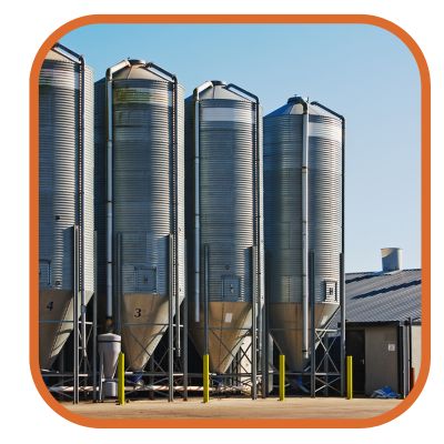 Implementación de la formulación dinámica de alimentos balanceados y la nutrición de precisión en la producción avícola