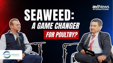 Can Seaweed Improve Poultry Performance? Ocean Harvest Technology Explains at VIV Europe 2026