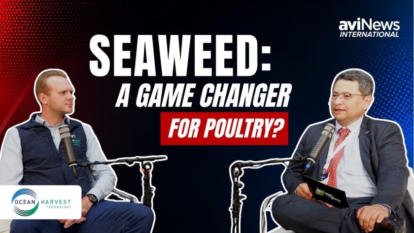 Can Seaweed Improve Poultry Performance? Ocean Harvest Technology Explains at VIV Europe 2026