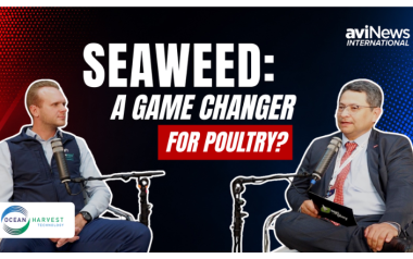 Unlocking seaweed’s potential in poultry production: Ocean Harvest Technology at VIV Europe 2026