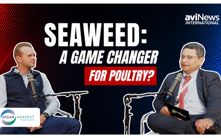Unlocking seaweed’s potential in poultry production: Ocean Harvest Technology at VIV Europe 2026