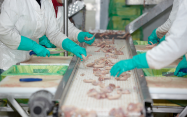 Postbiotics for Safer Poultry Processing