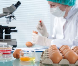 Productores de huevo en Los Altos de Jalisco refuerzan calidad durante el verano