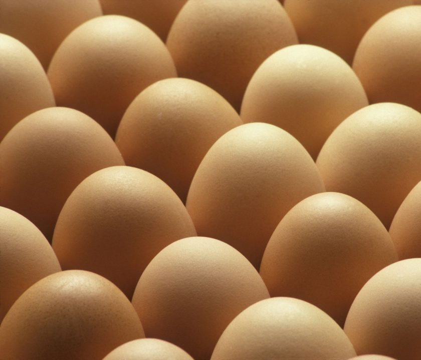 huevos marrones