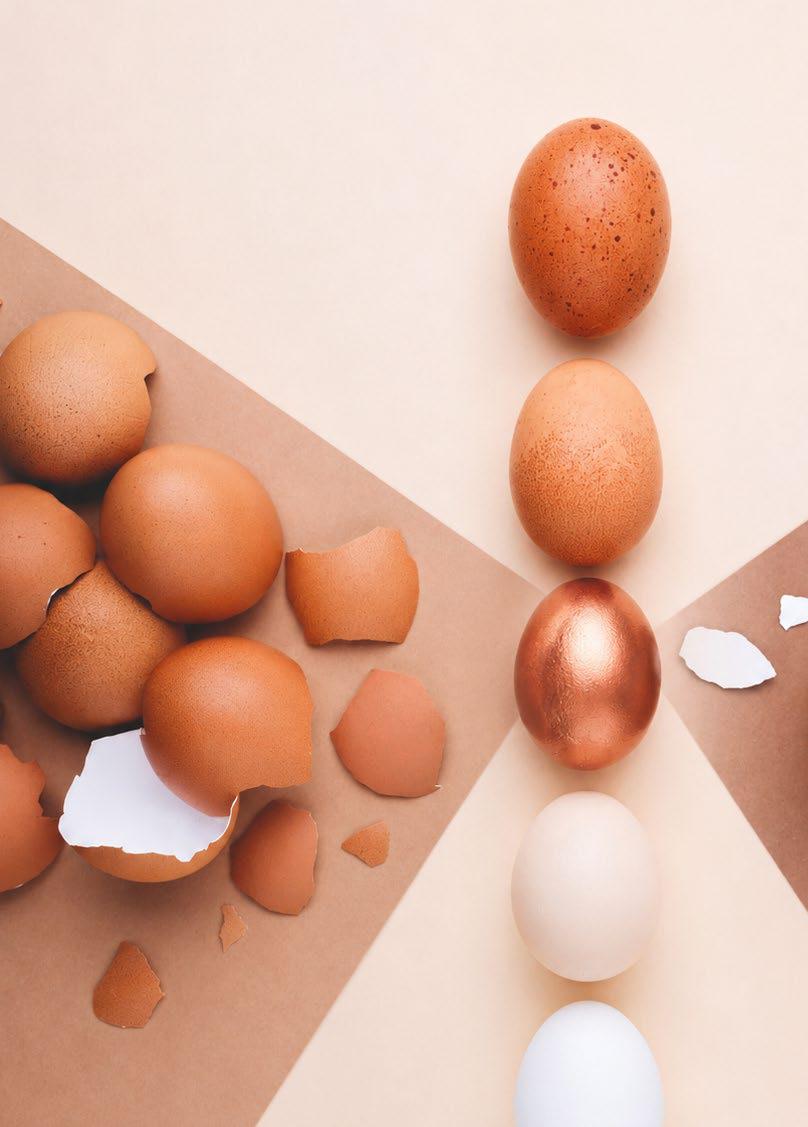 El cobre y sus funciones en la dieta de las gallinas ponedoras: ventajas de la forma quelada